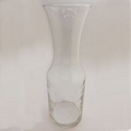 GeoTonic 1 Liter Carafe